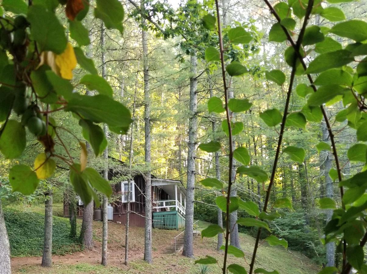 The Cabins At Healing Springs Crumpler Экстерьер фото